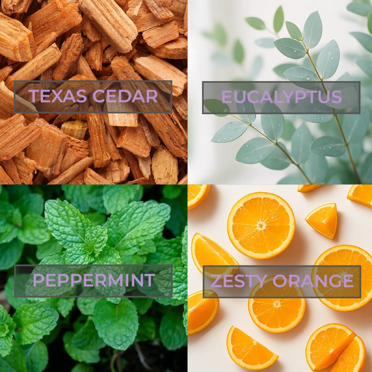 Sauna Essential Oils — Peppermint, Orange, Eucalyptus & Cedar — accessory — view 2