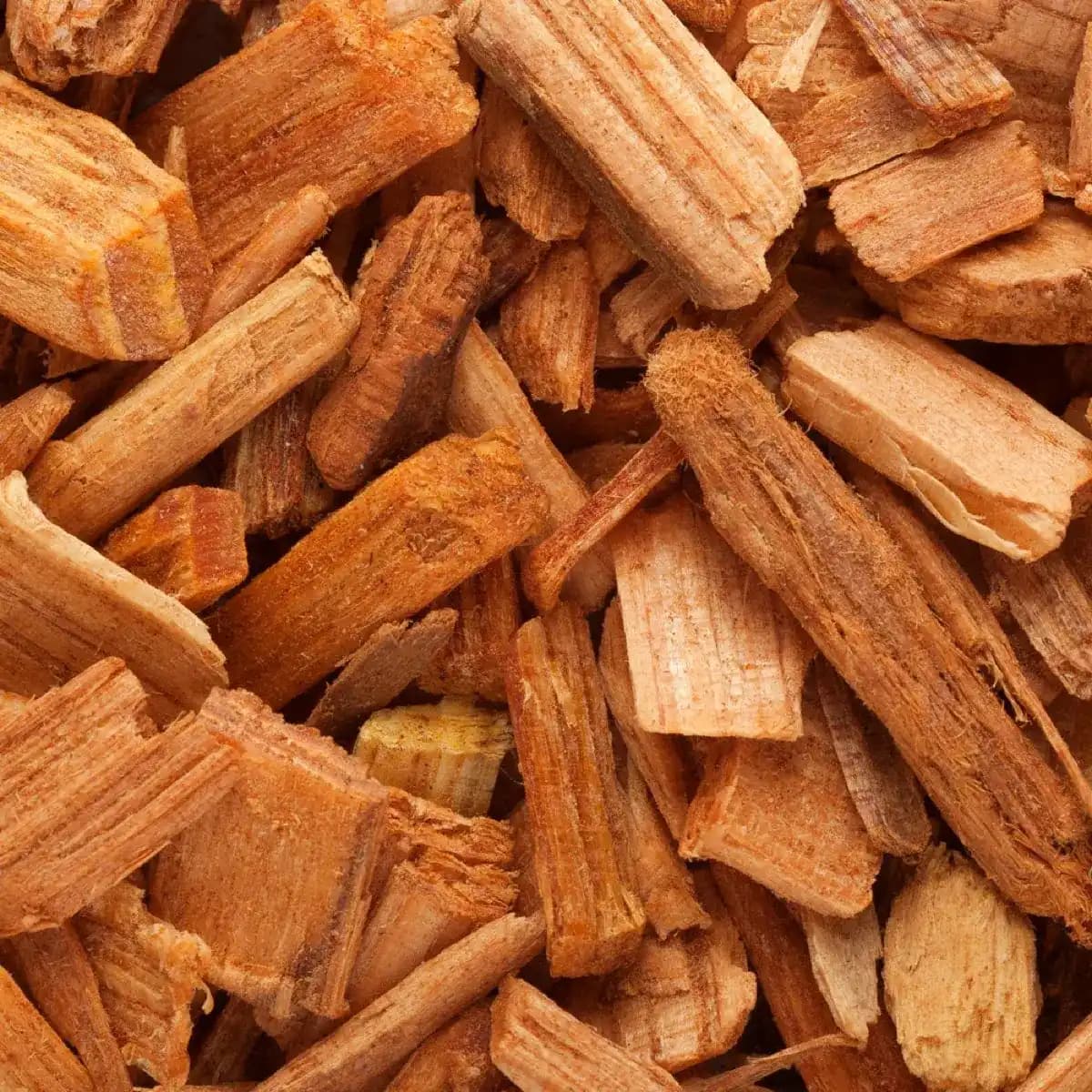 Sauna Essential Oils — Peppermint, Orange, Eucalyptus & Cedar — accessory — view 3